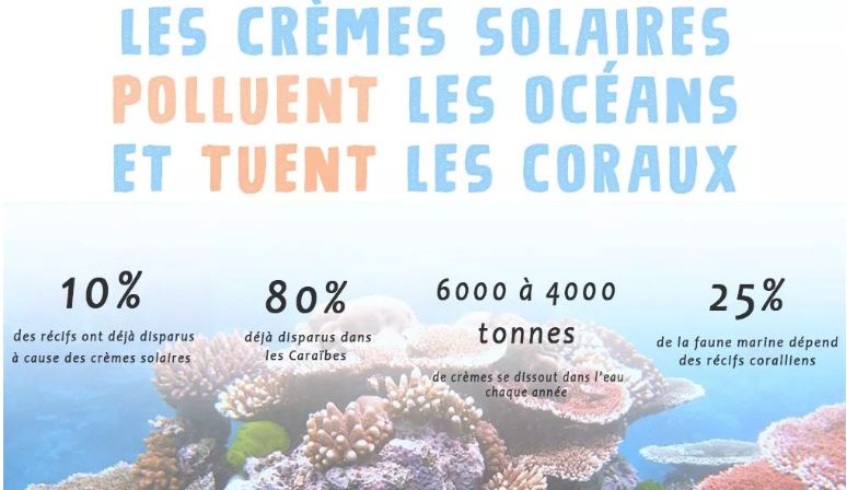 Pourquoi utiliser des crèmes solaires bio ?