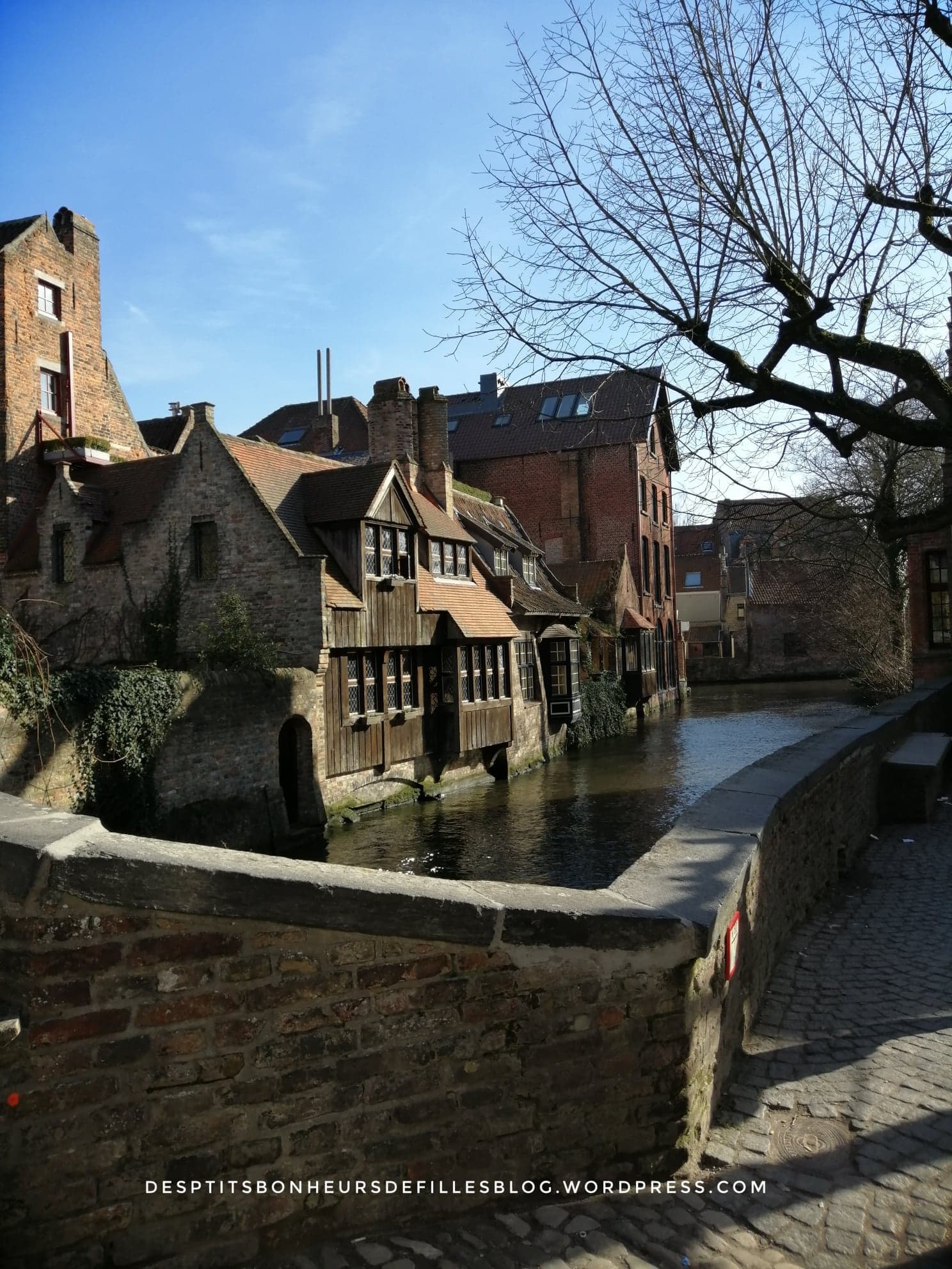 Les canaux de Bruges