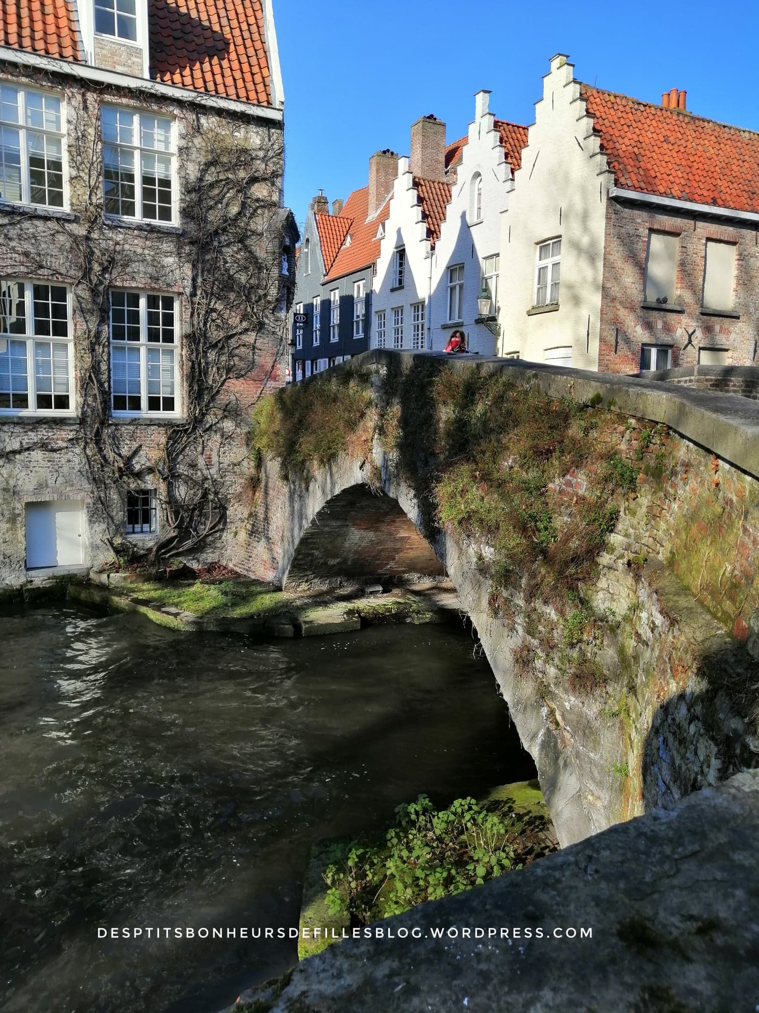 Les canaux de Bruges