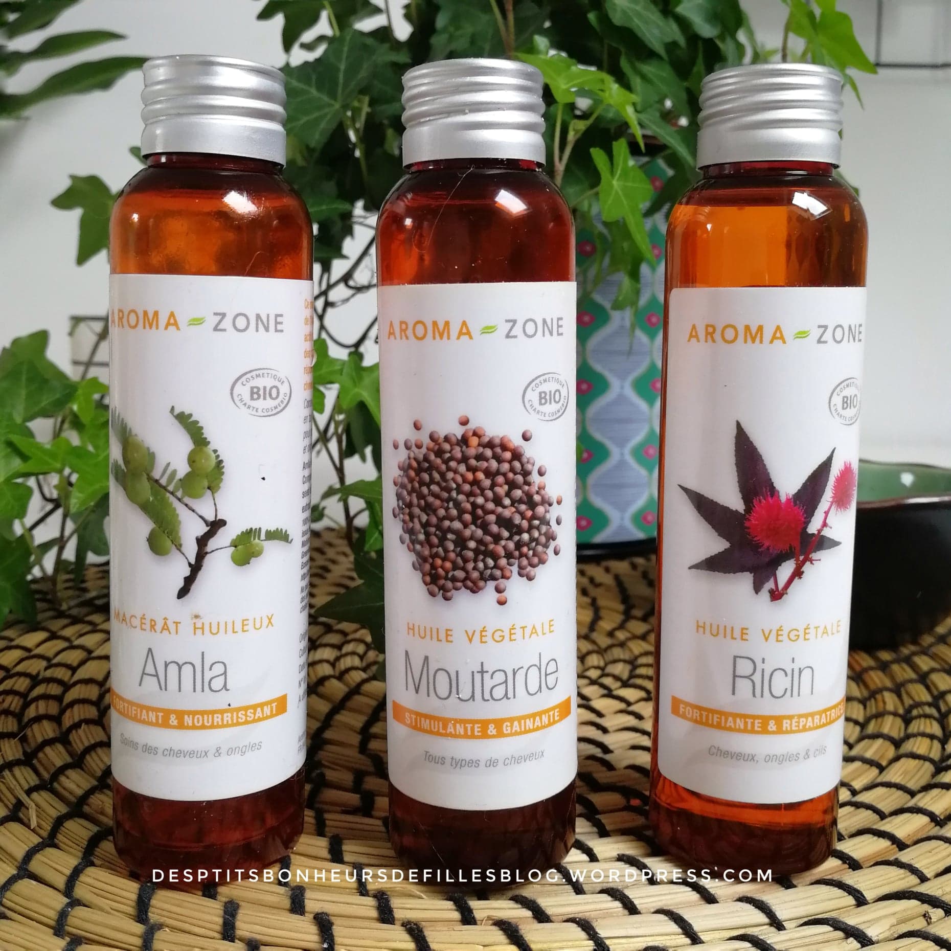 huiles végétales pour accélérer la pousse des cheveux