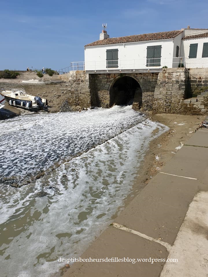 le moulin loix ile de ré