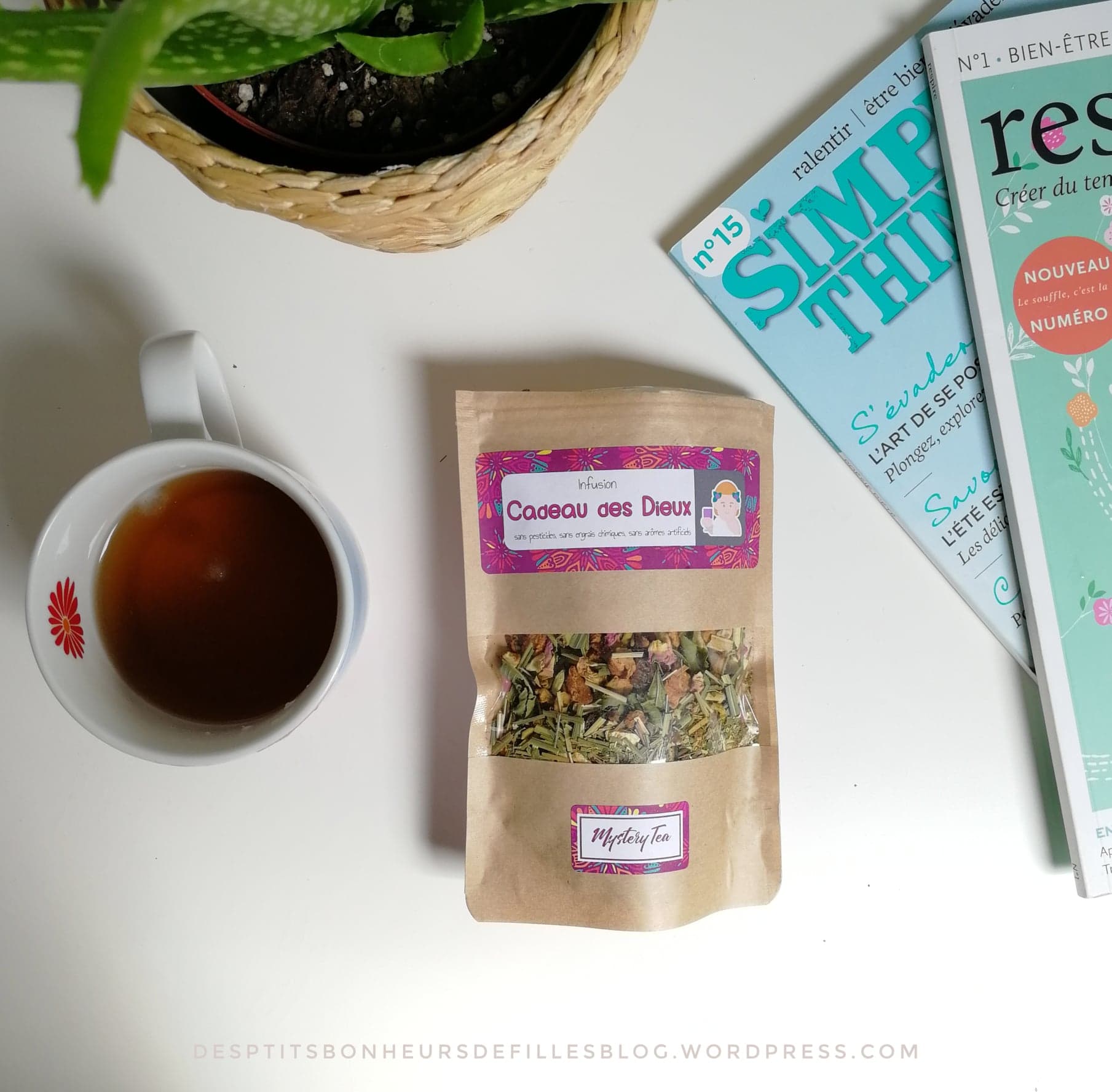 the bio mystery tea cadeau des dieux