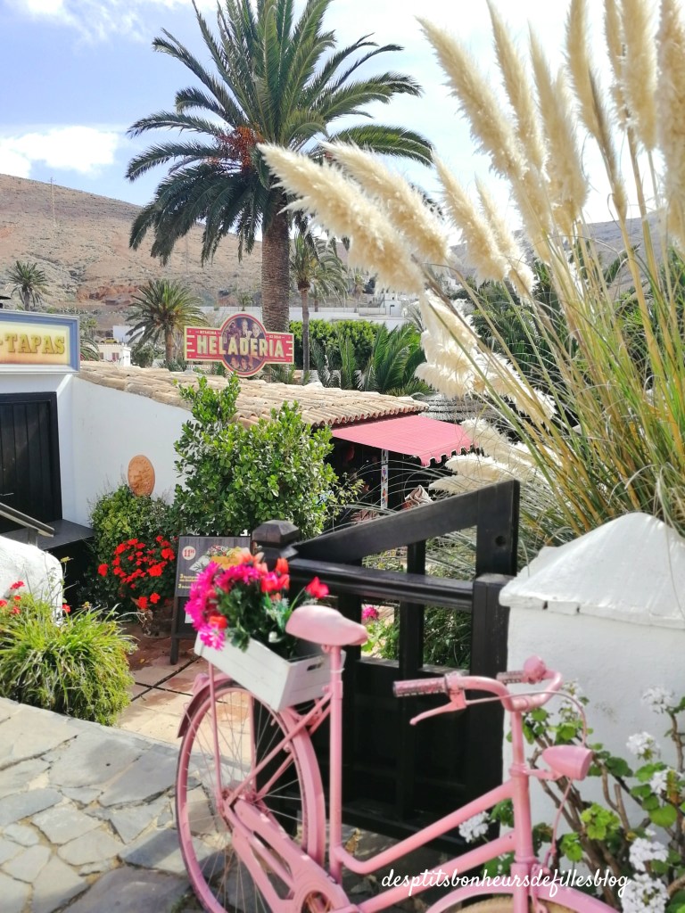 carnet de voyage road trip aux canaries