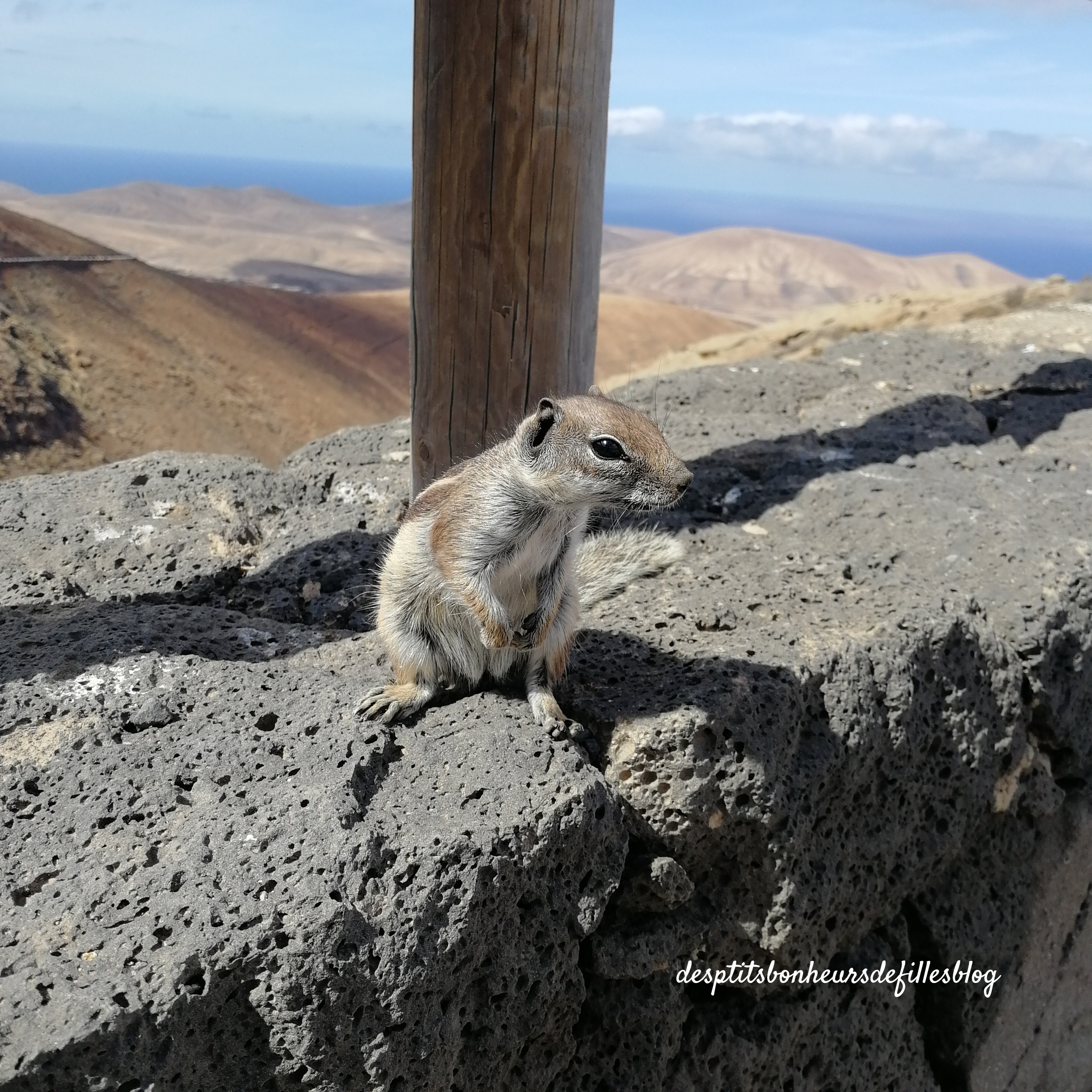 que voir à Fuerteventura blog voyage