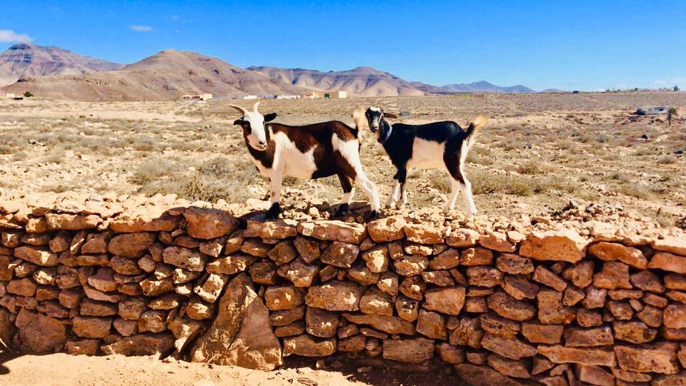 blog voyage fuerteventura