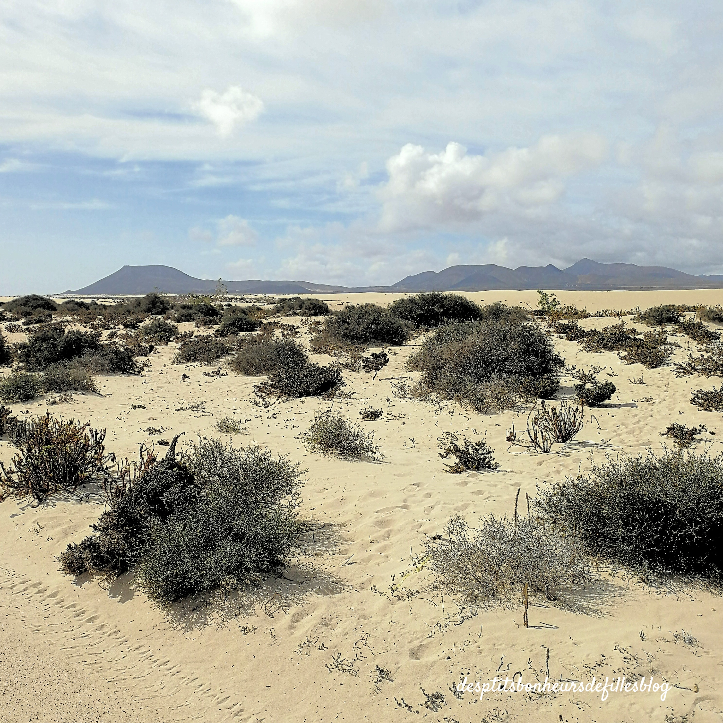 LEs Dunes de Corralejo Fuerteventura