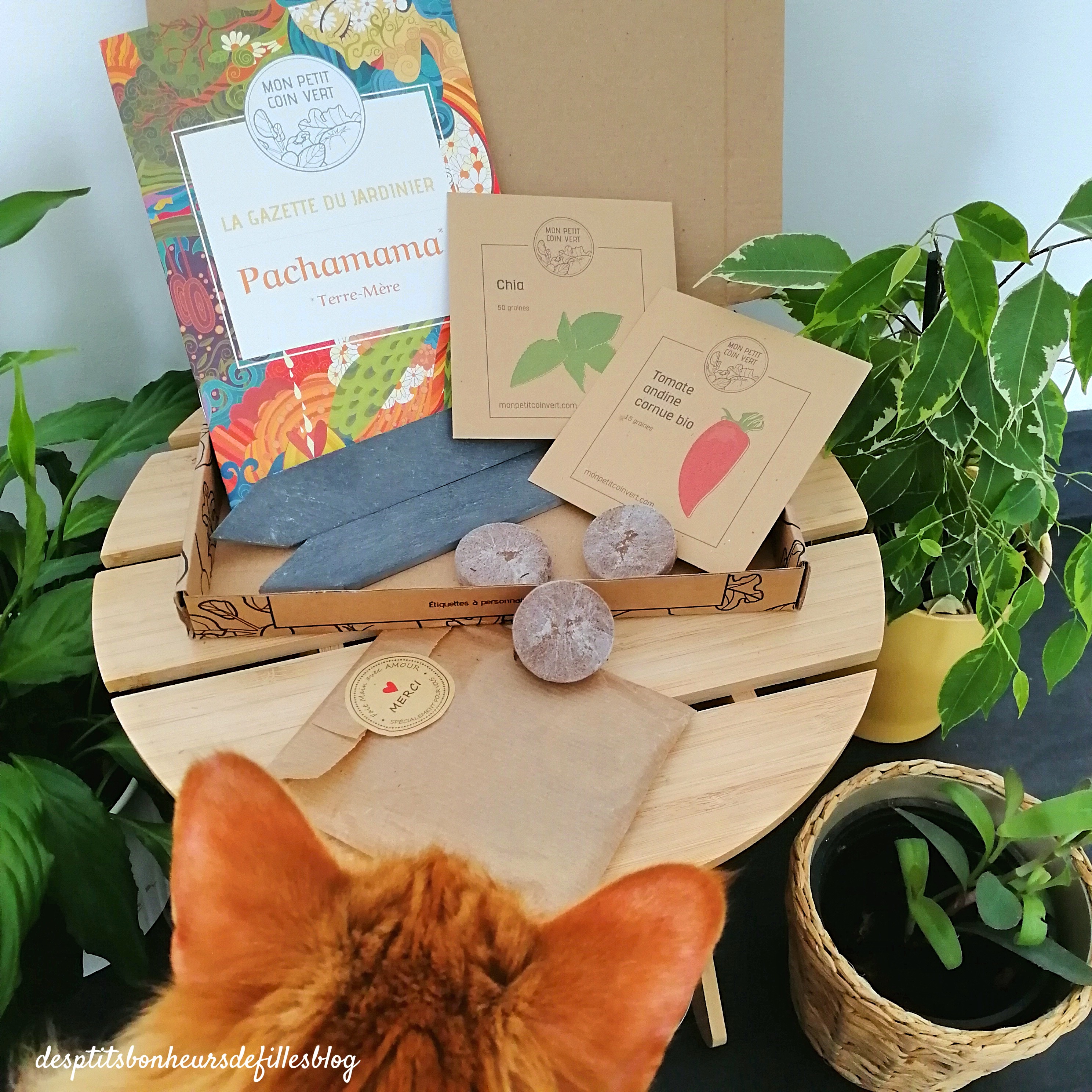 permaculture box jardinage mensuelle