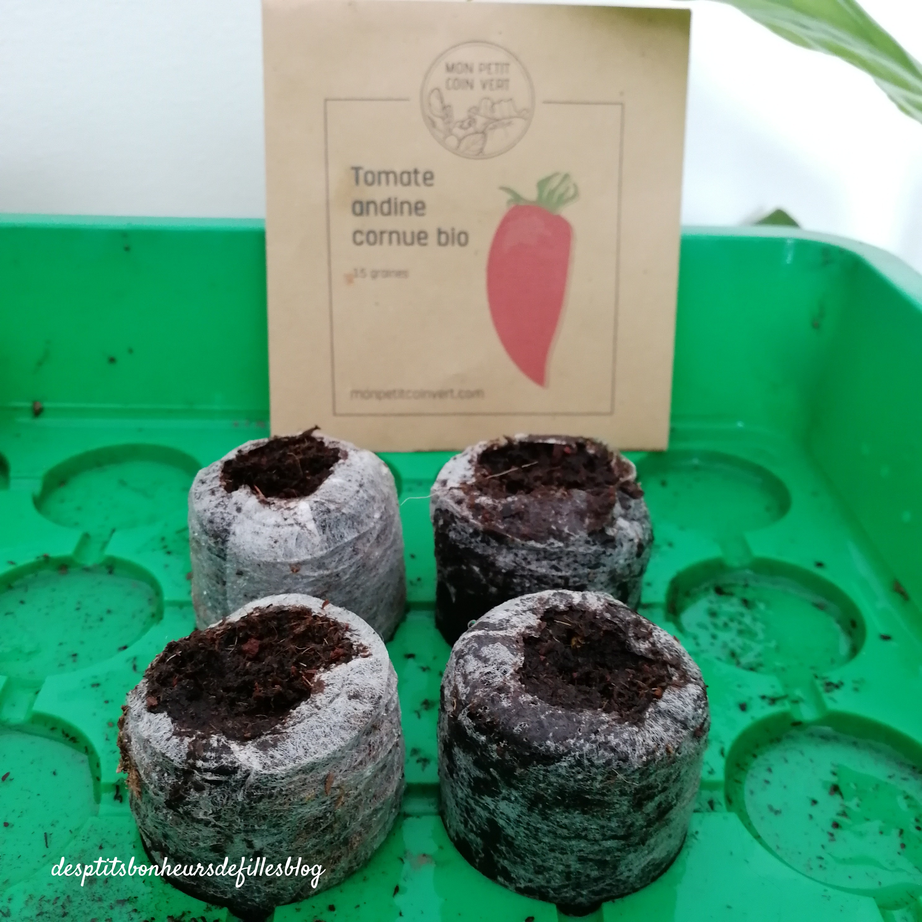 box mensuelle jardinage