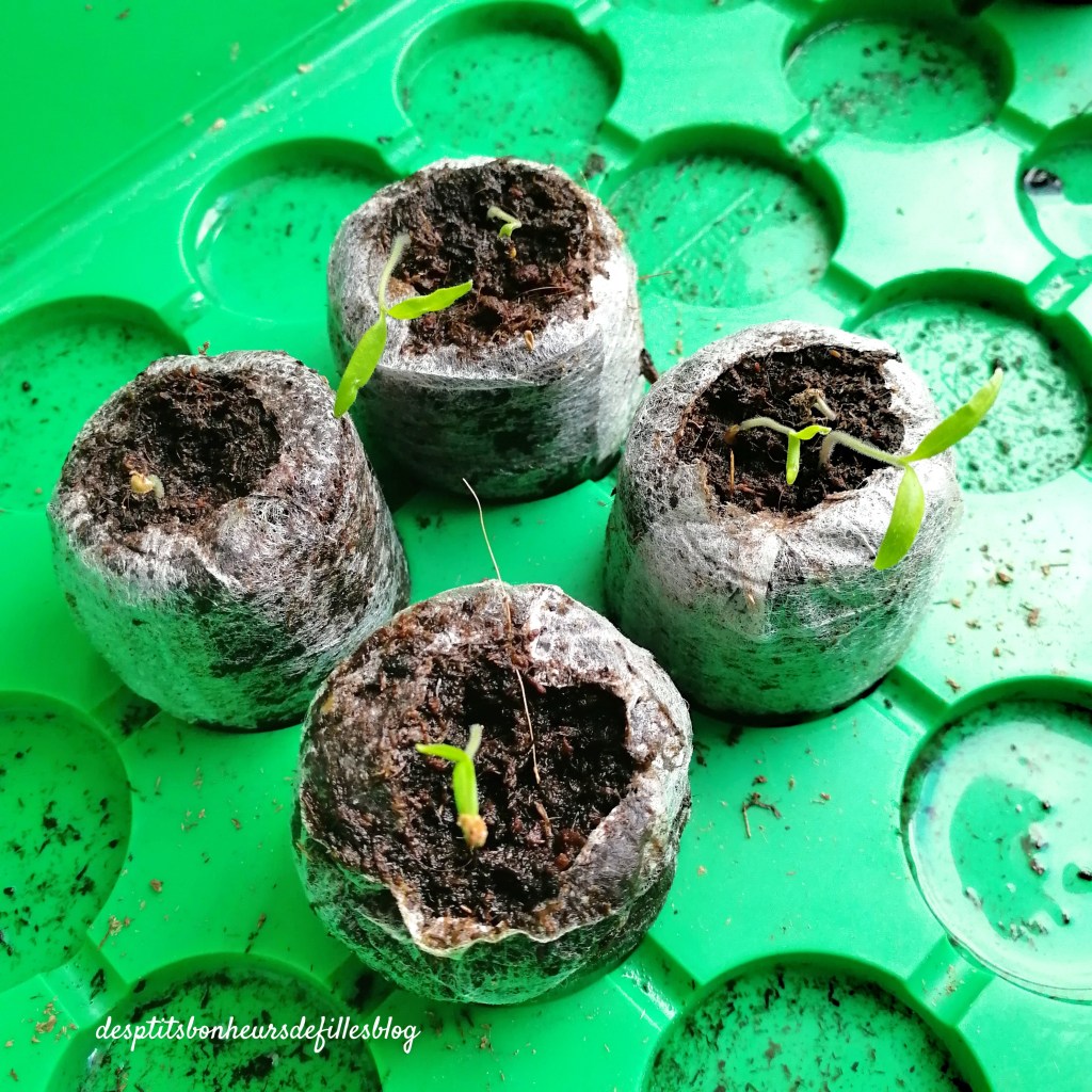 astuces jardinage permacool