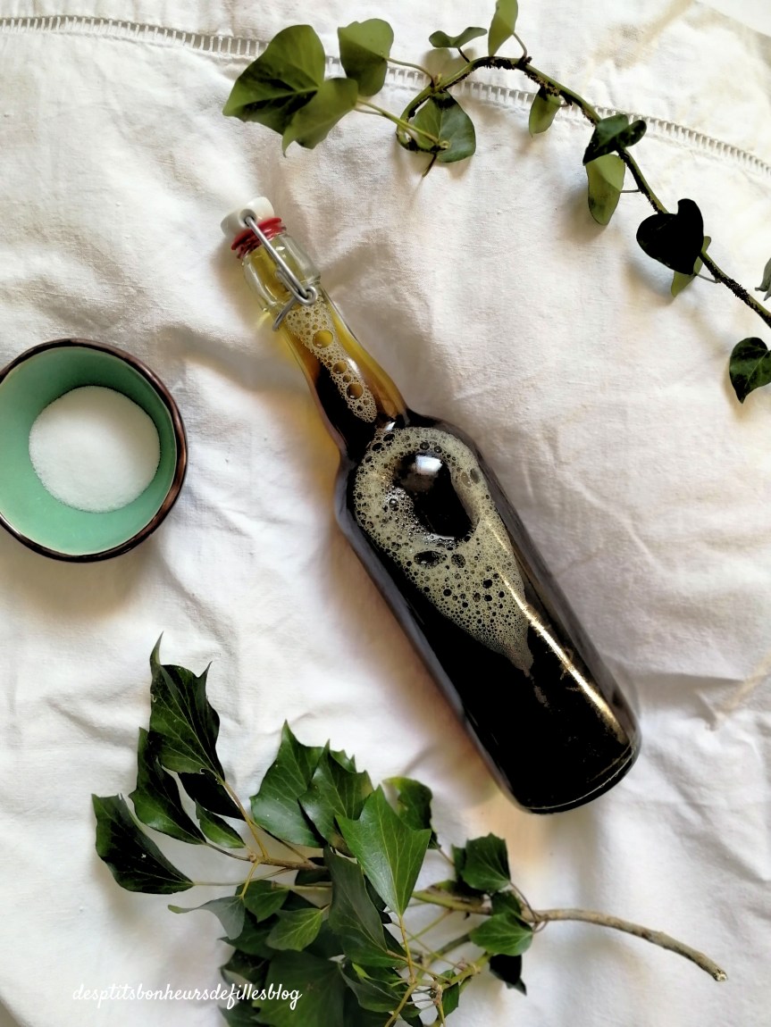 DIY :  Ma Lessive Maison  Ecologique au&nbsp;Lierre