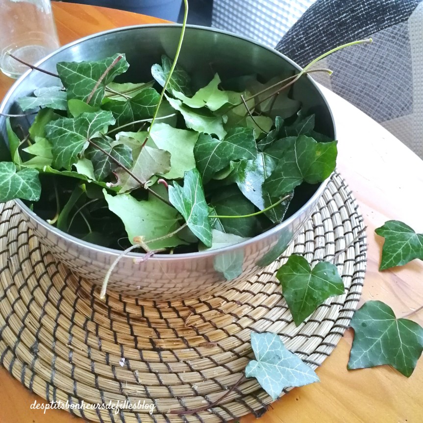 recette lessive au lierre