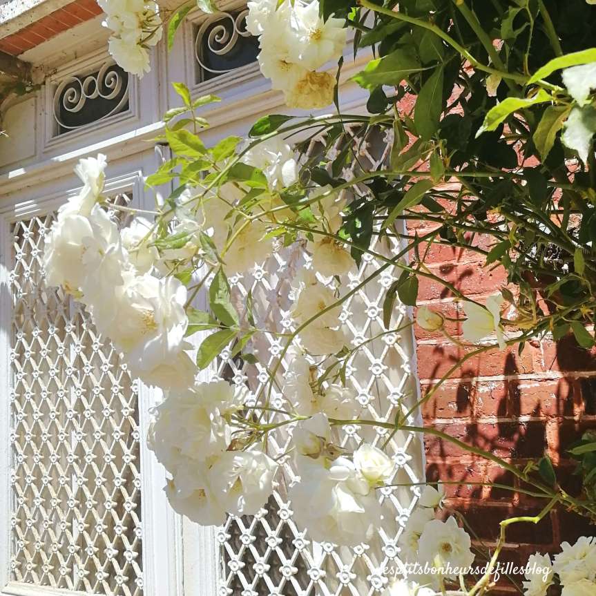 La ville de la rose Gerberoy 