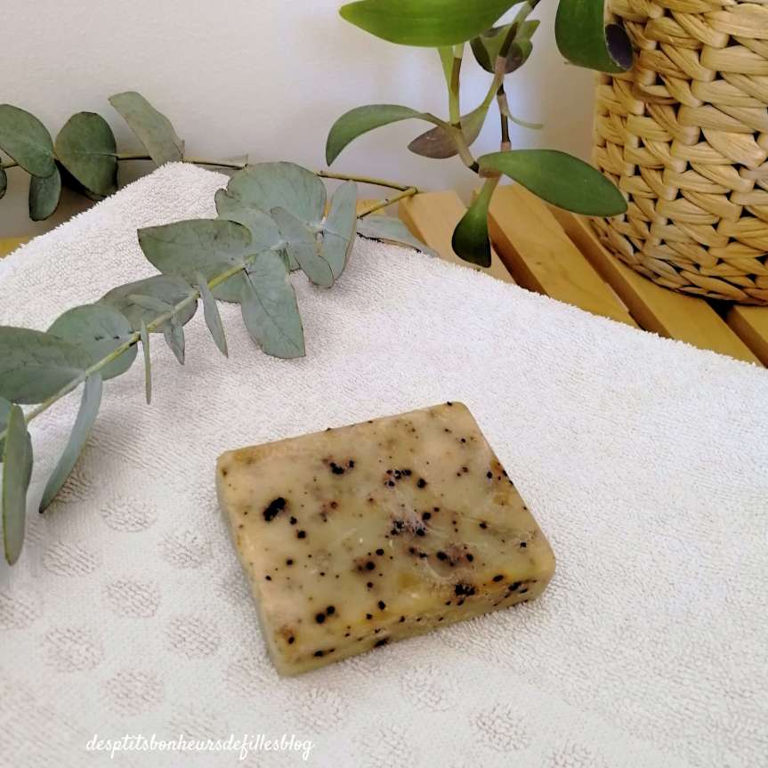 Avis Secrets de Miel shampoing solide purifiant