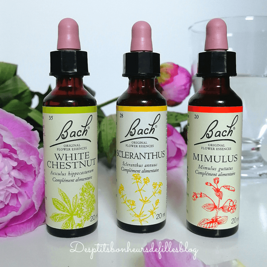 comment gérer son stress avec les fleurs de bach