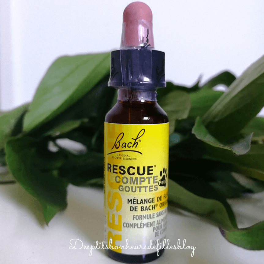 fleurs de bach pour animaux