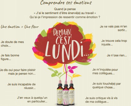 Comment chasser les emotions negatives et le stress avec les fleurs de Bach