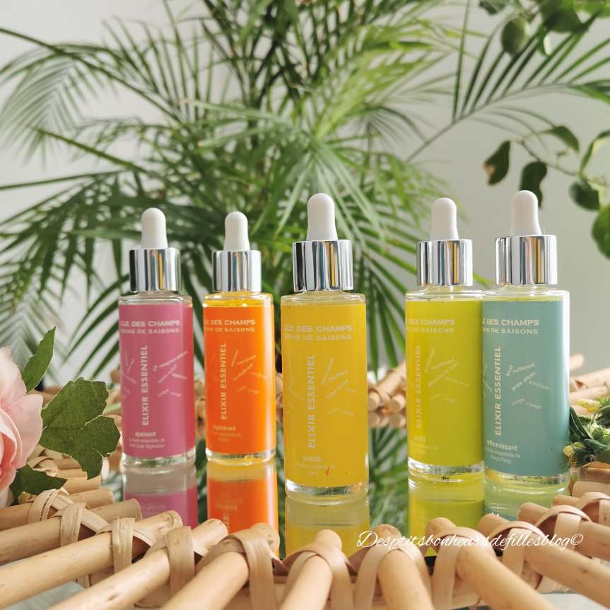 Clé des champs : un Elixir essentiel pour chaque&nbsp;saison