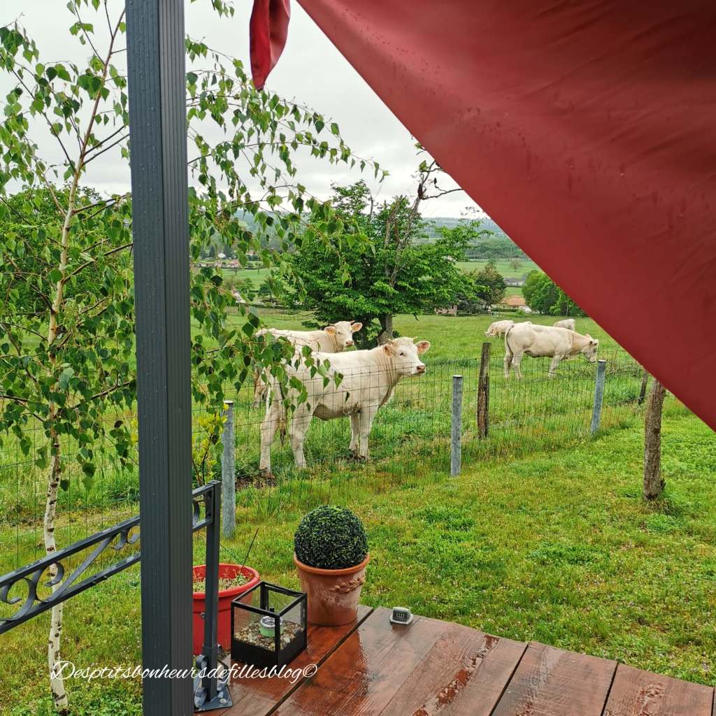 week end au vert e bourgogne idée sejour insolite