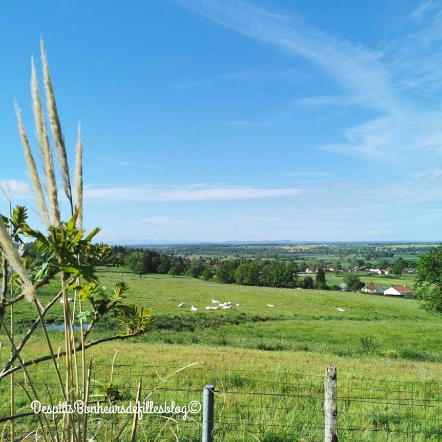 ecotourisme en bourgogne la roulotte d elicie