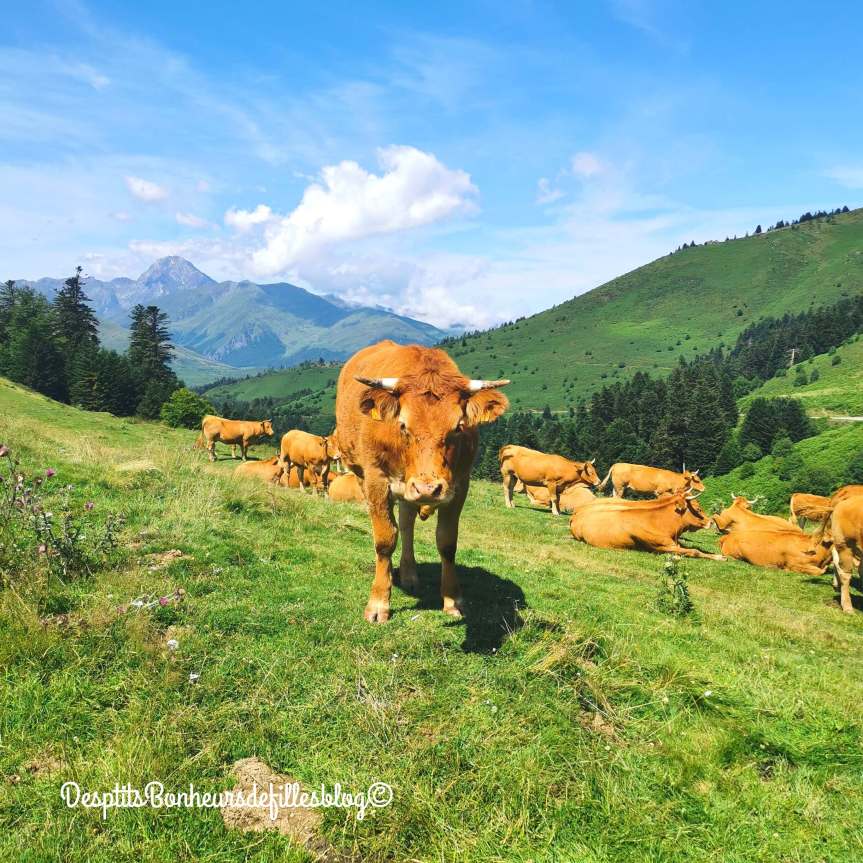 vacances d ete dans les pyrenees blog