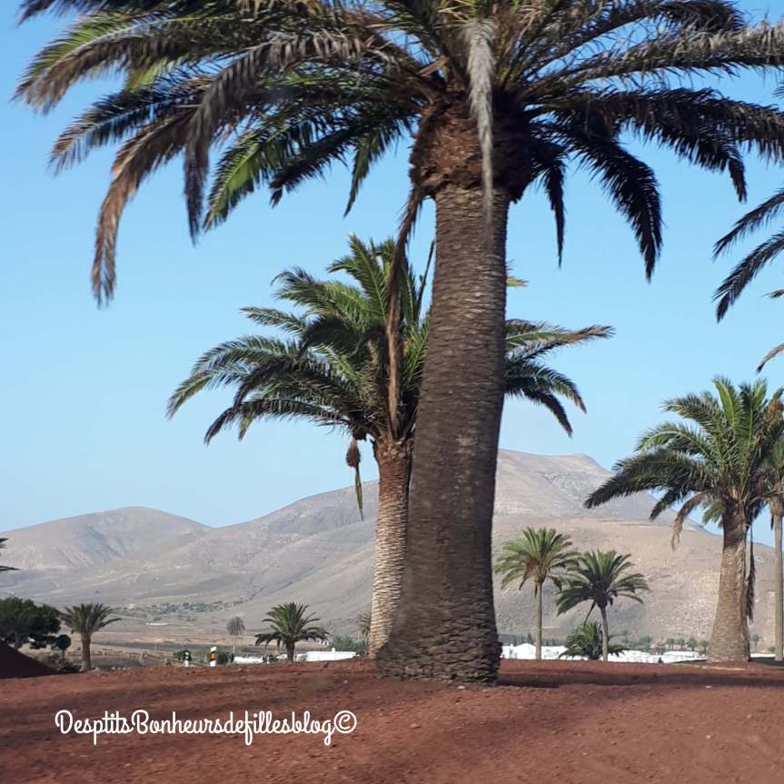 plus belle ile des canaries