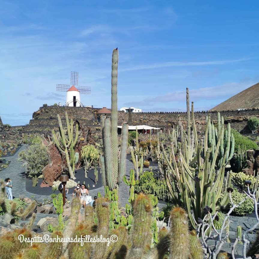 jardin cactus lanzarote avis