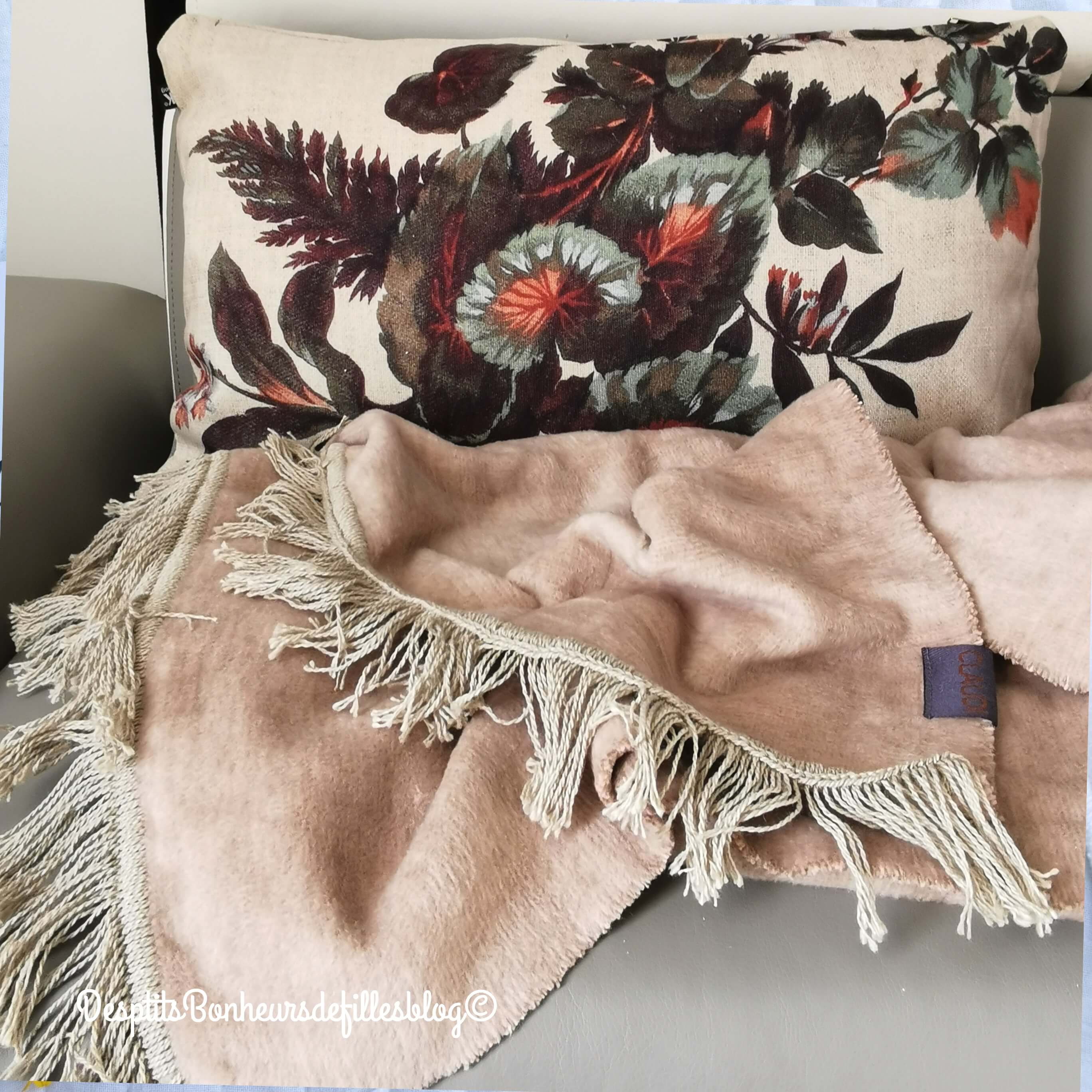 beau coussin pour canapé hk Living