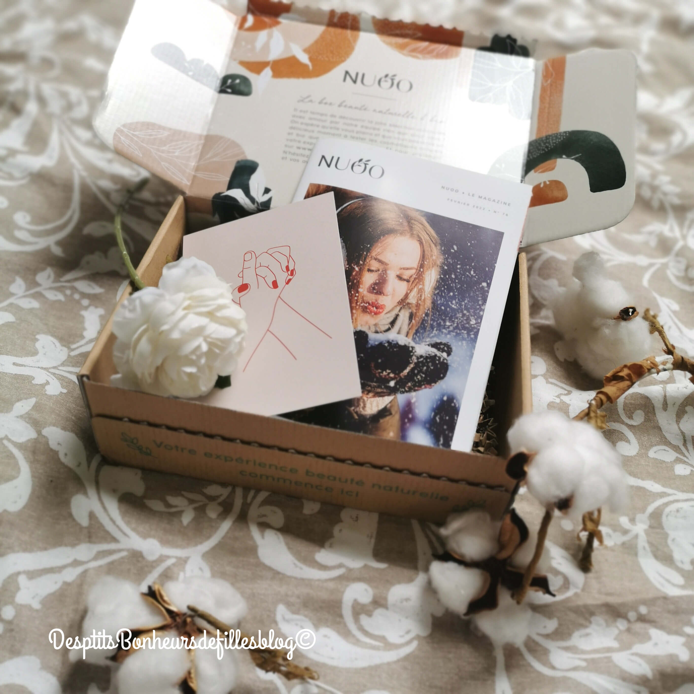 Nuoo Box contenu et avis