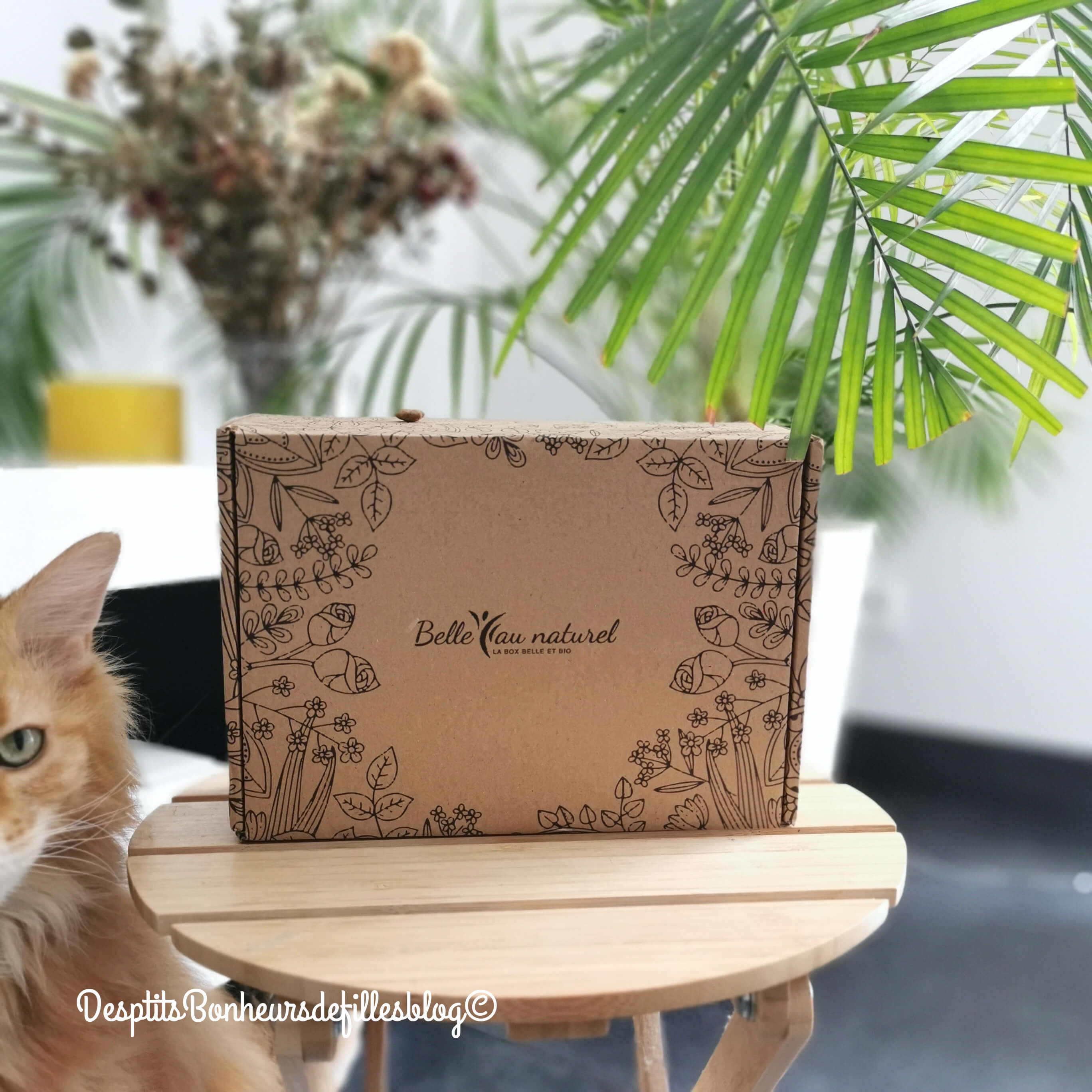 Box Belle Au naturel Mars avis