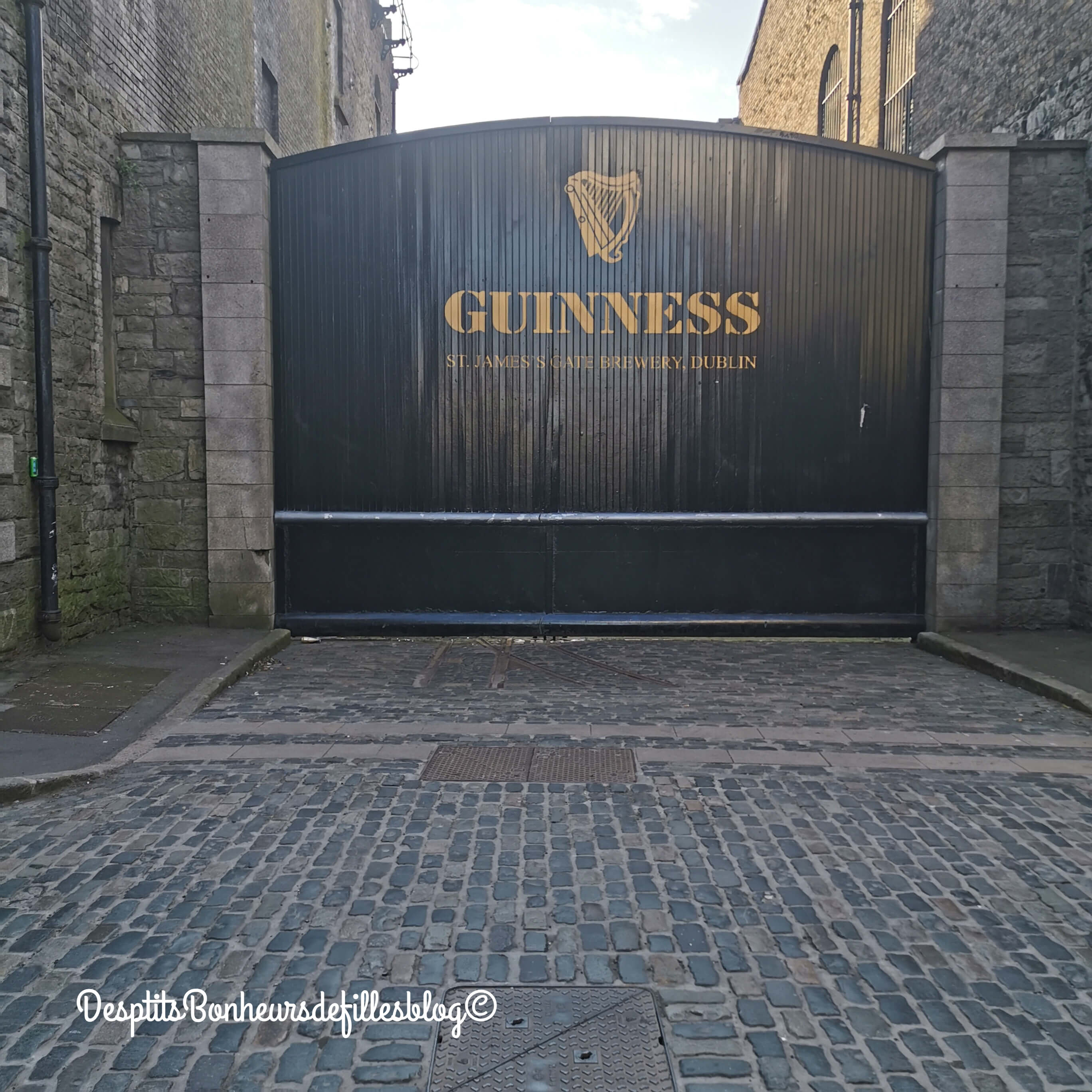 musée guinness dublin avis