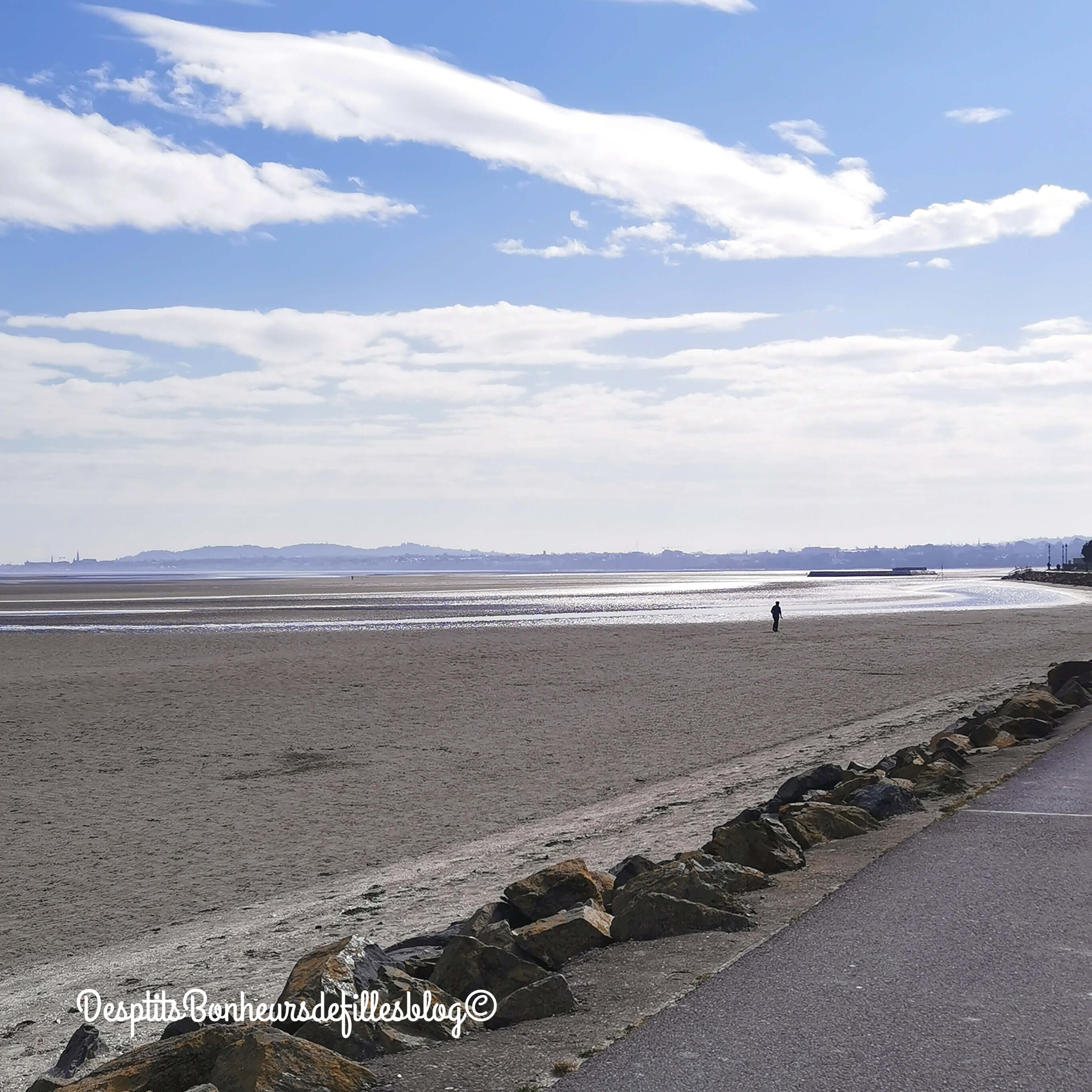 baie de dublin blog voyage