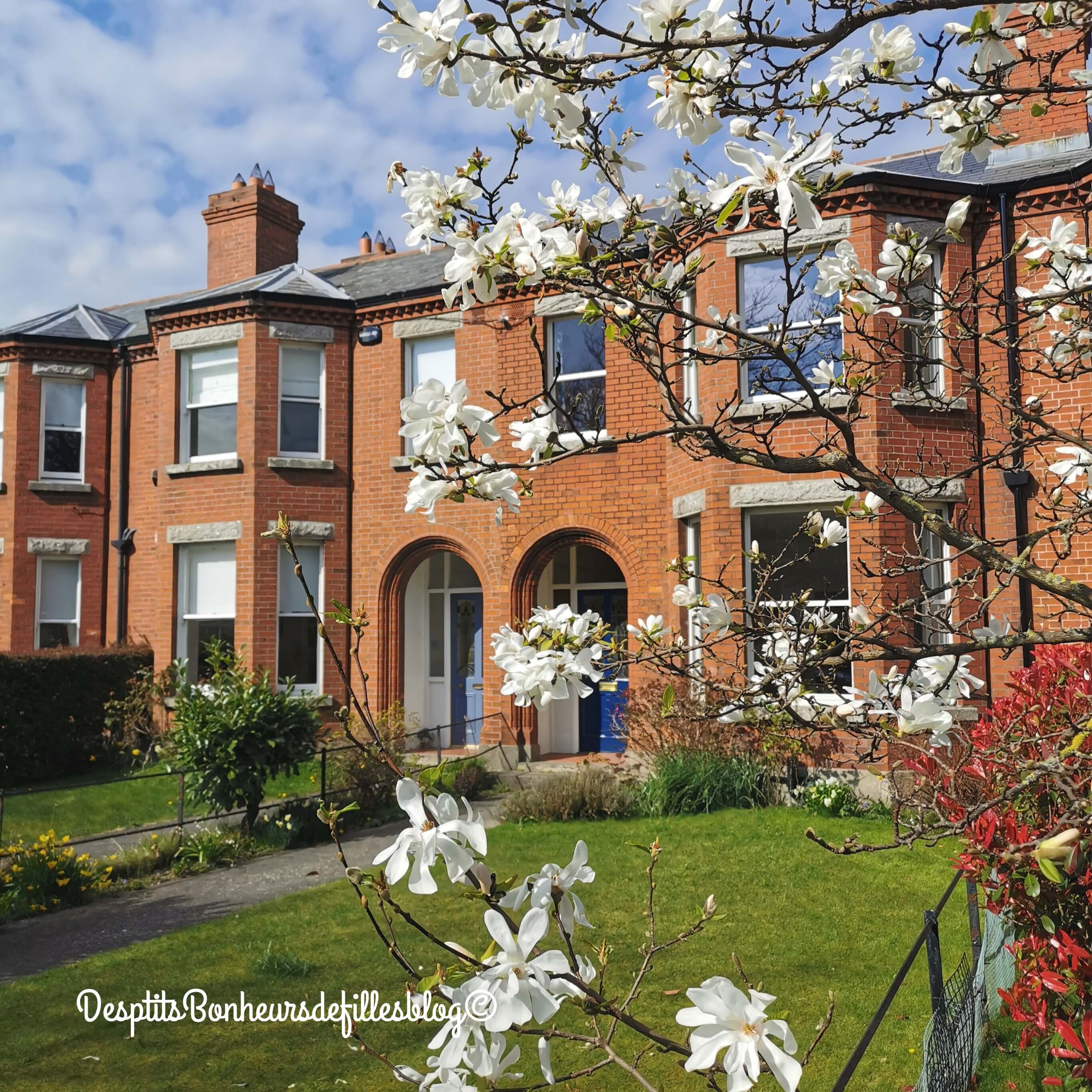 week end dublin irlande blog voyage