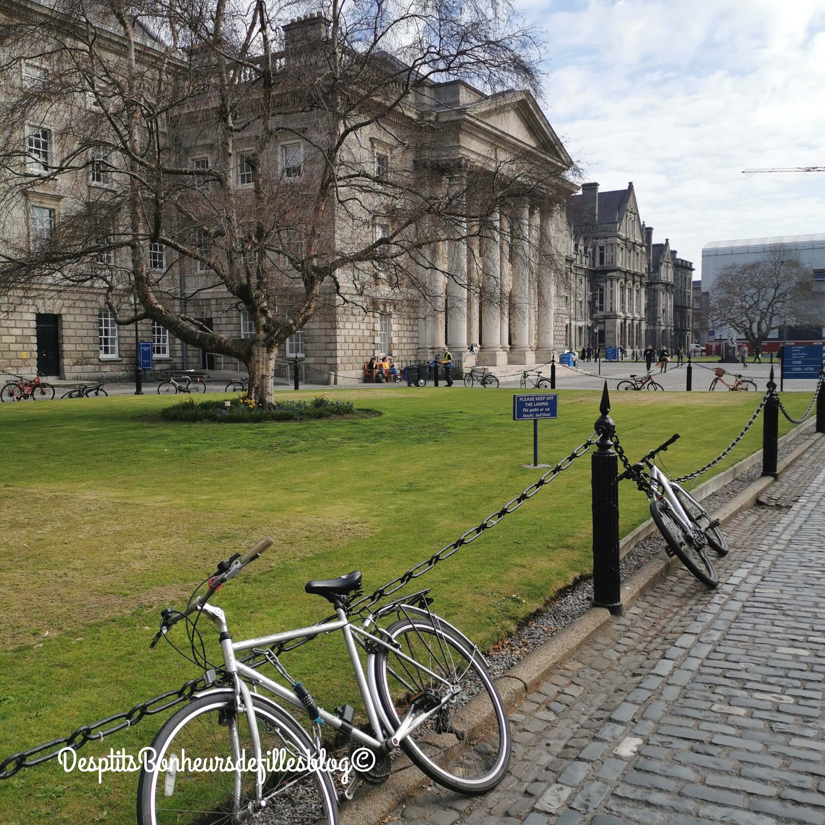 visiter trinity college dublin carnet de voyage