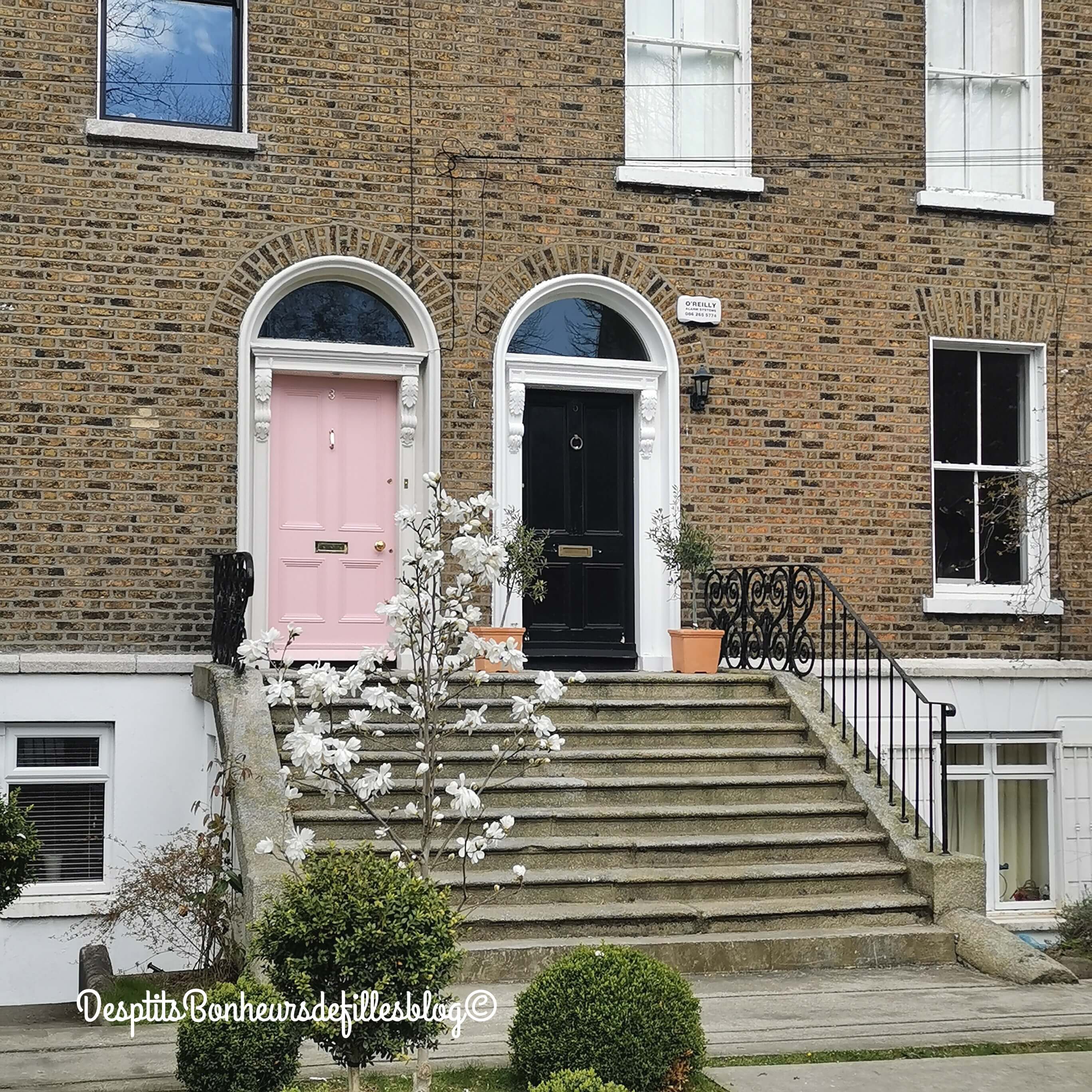 ou voir les portes colorées dublin