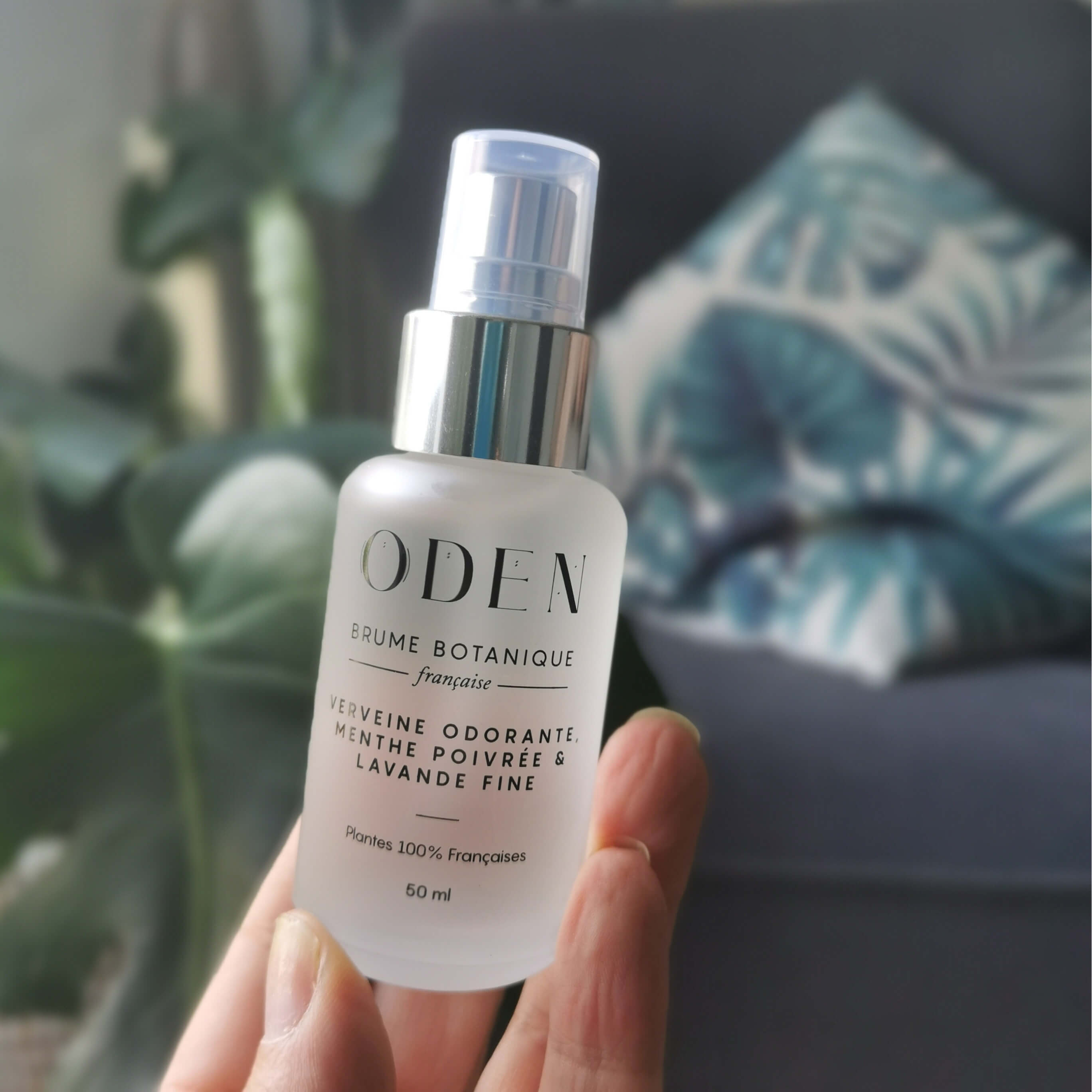 avis brume botanique oden