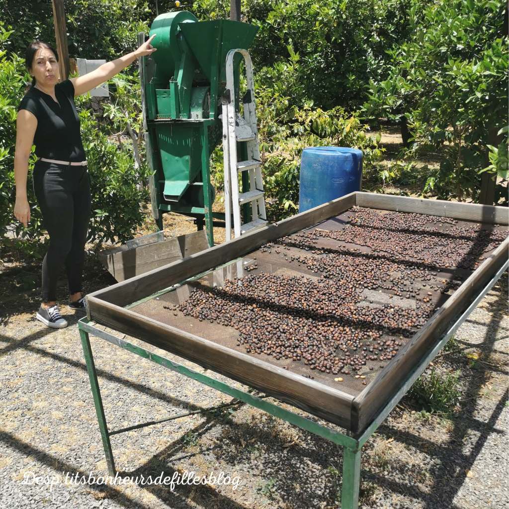 idées visites grande canarie