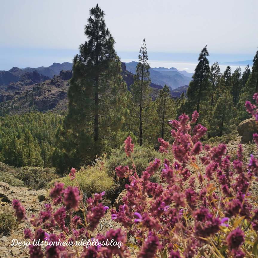 iles canaries visite blog voyage