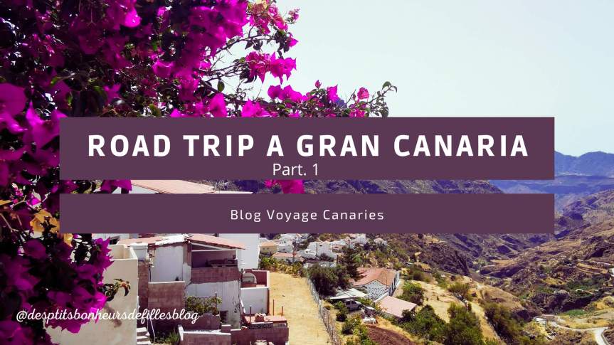 Mes vacances à Gran Canaria,  blog voyage Partie 1