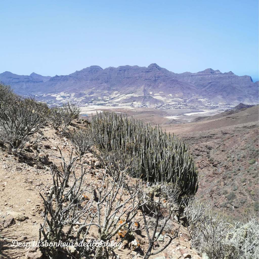 partir en vacances aux canaries blog voyage