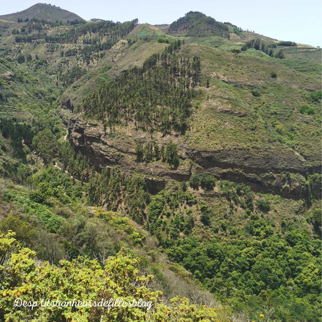 carnet de voyage gran canaria