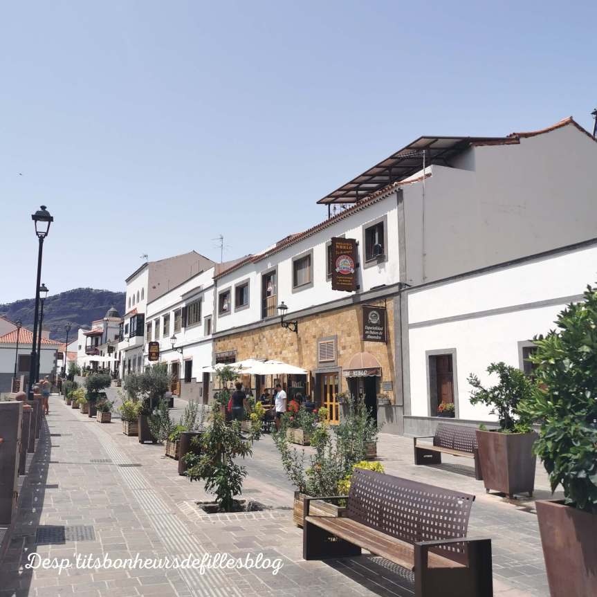 blog voyage quelle ile des canaries choisir