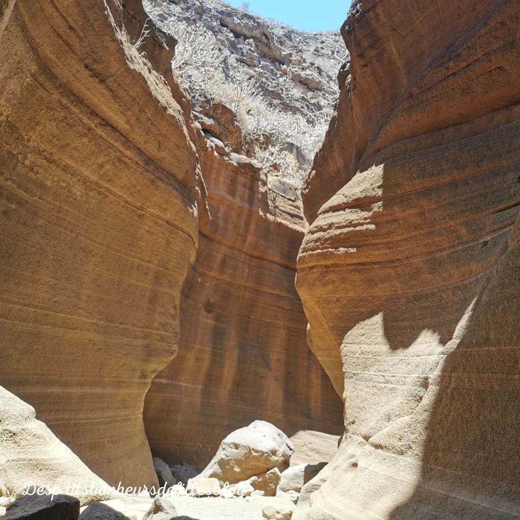 blog voyage que voir a gran canaria