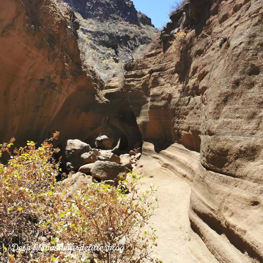 barranco de las vacas grn canaria