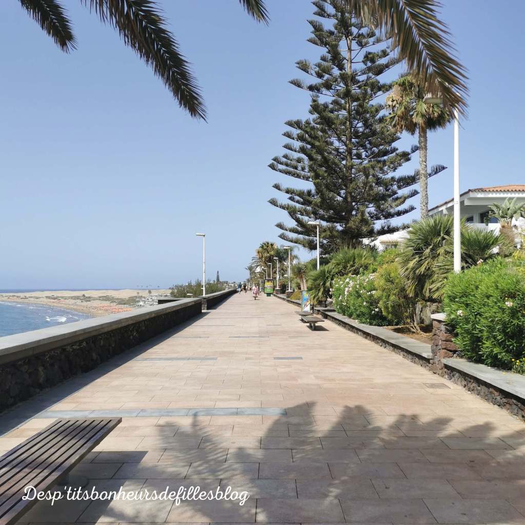 voyage grande canarie les meilleurs choses a voir