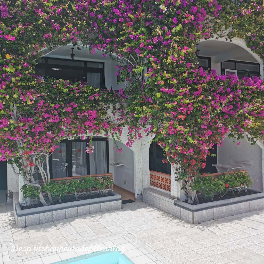 grande canarie les plus beaux endroits a voir blog