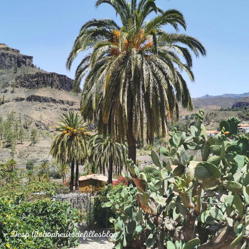 gran canaria idée visites blog voyage