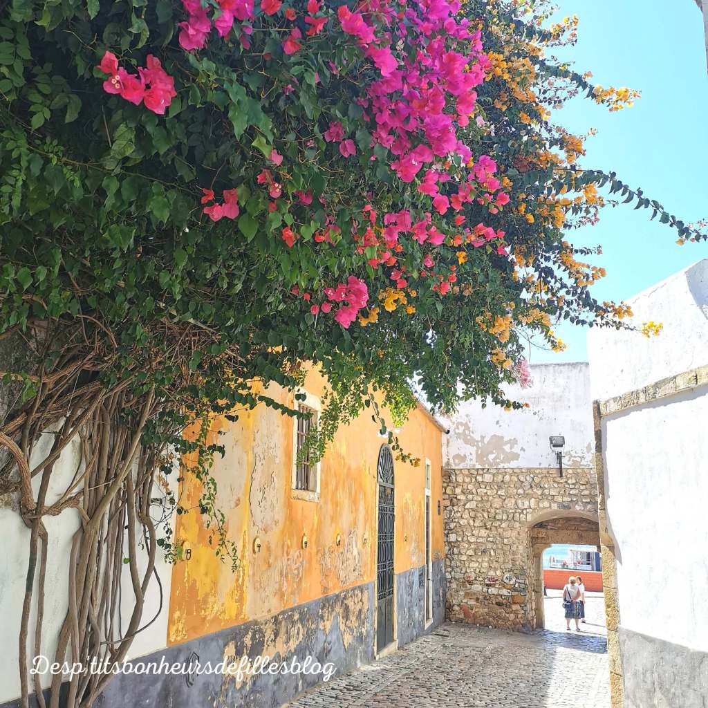 guide touristique algarve portugal