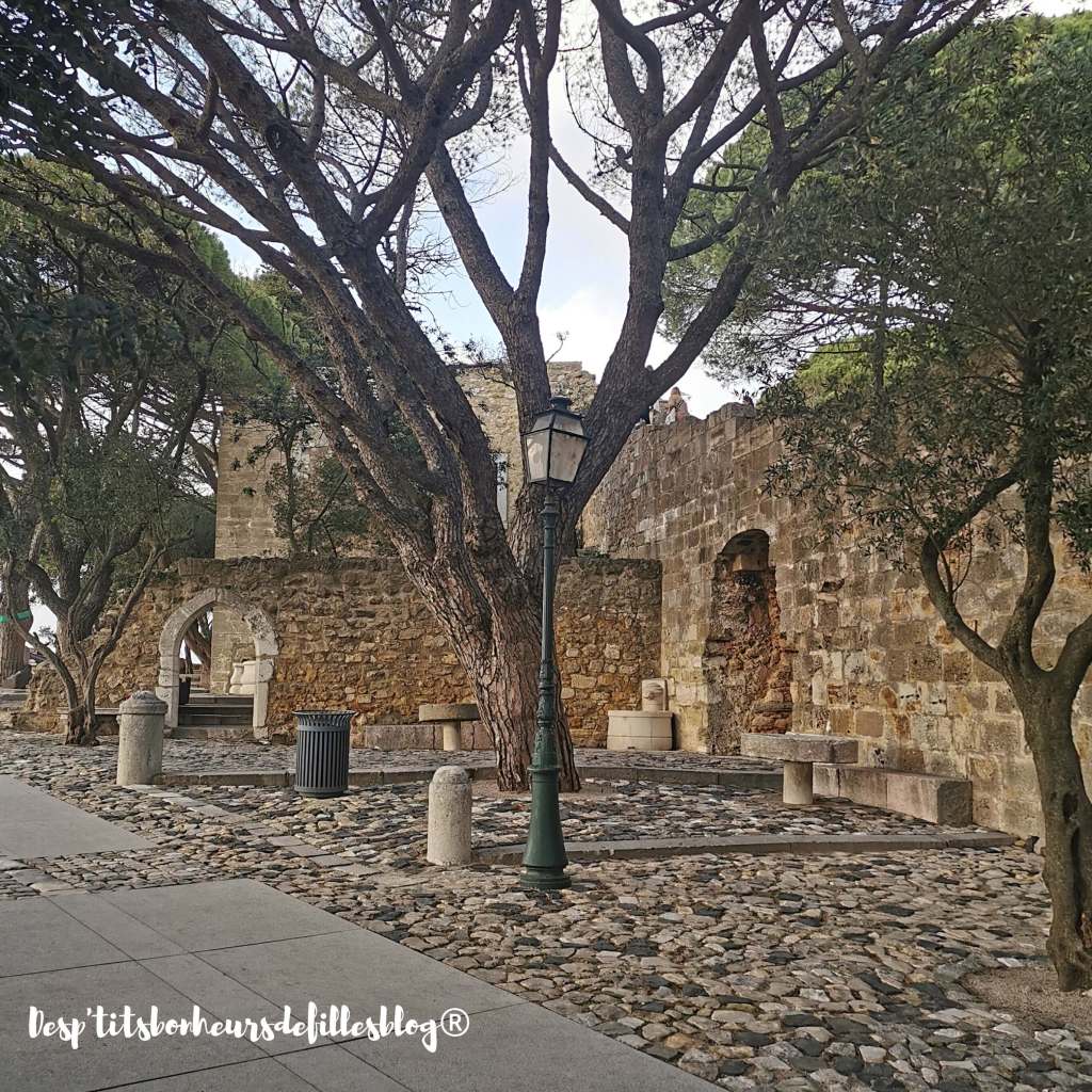 Chateau saint georges Lisbonne prix