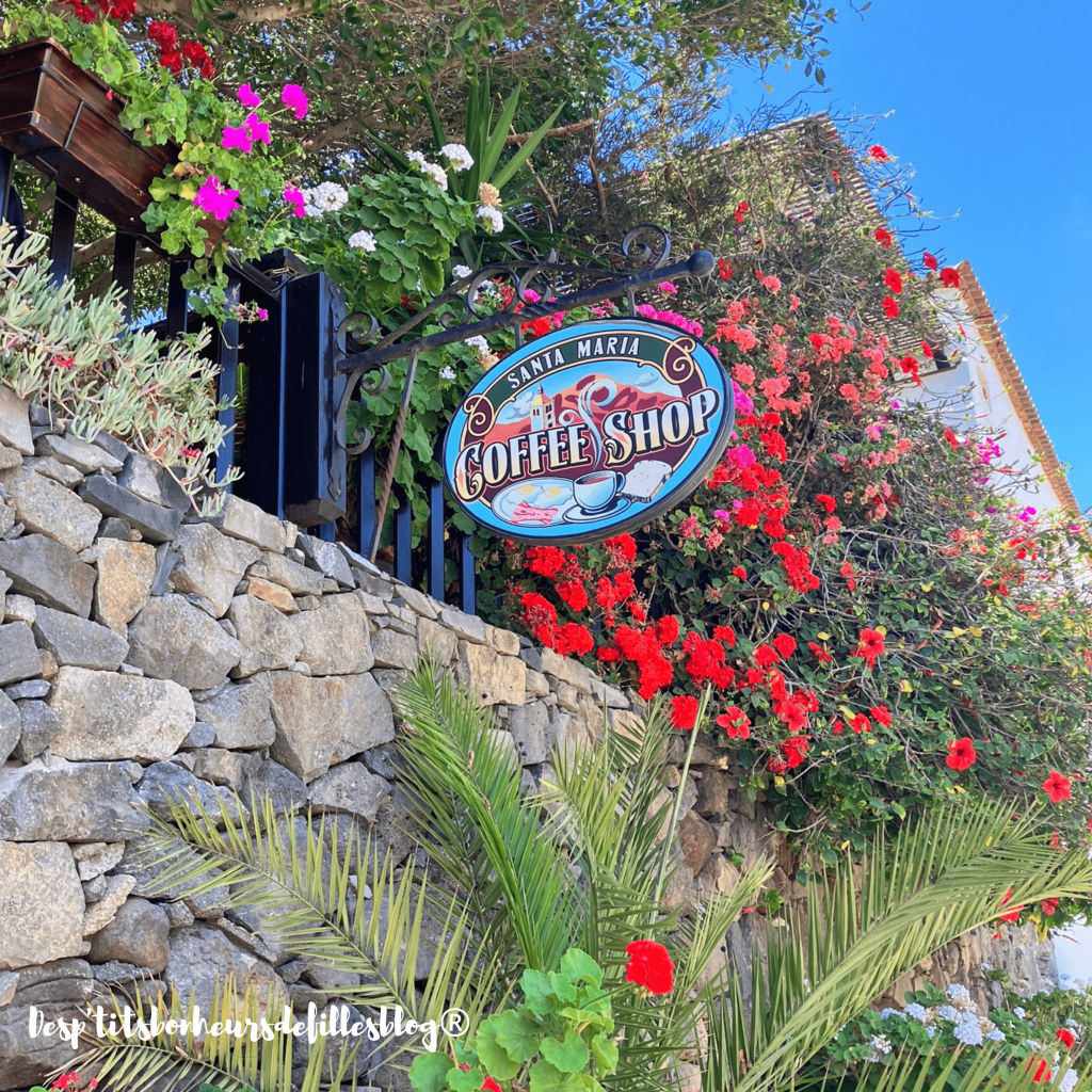 fuerteventura que faire