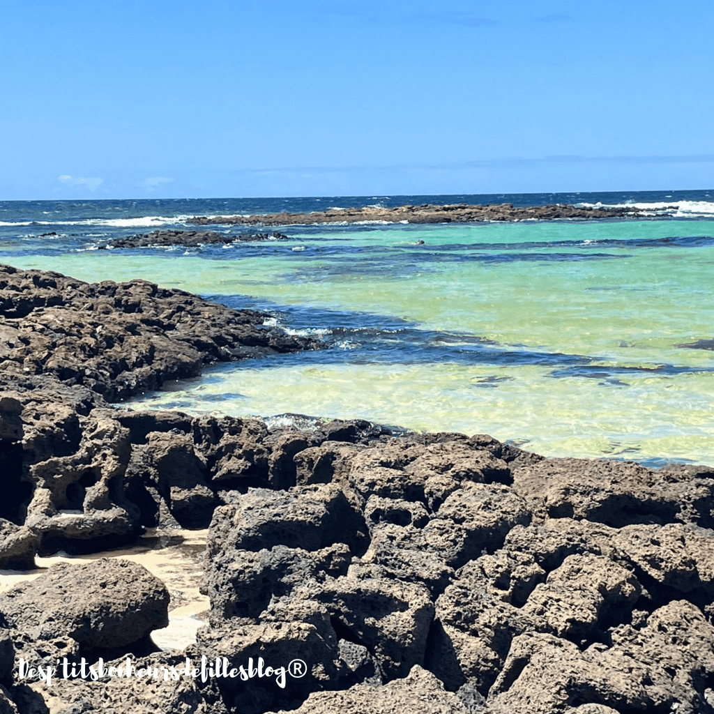piscine naturelles fuerteventura